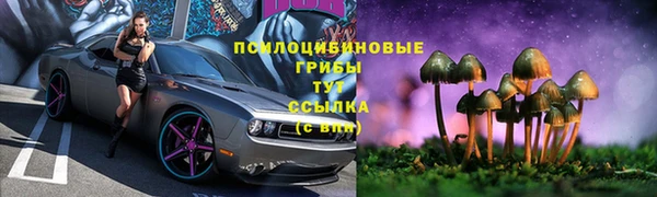 СК Алексеевка