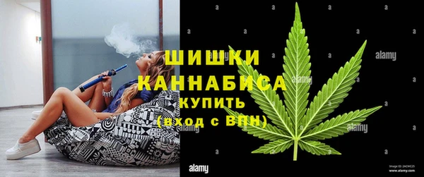 твердый Алзамай