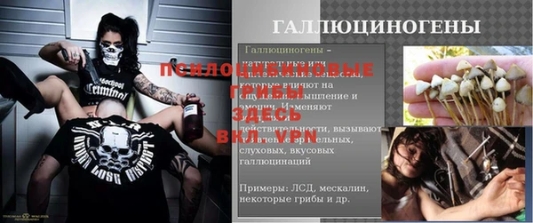 прущие крисы Алексин