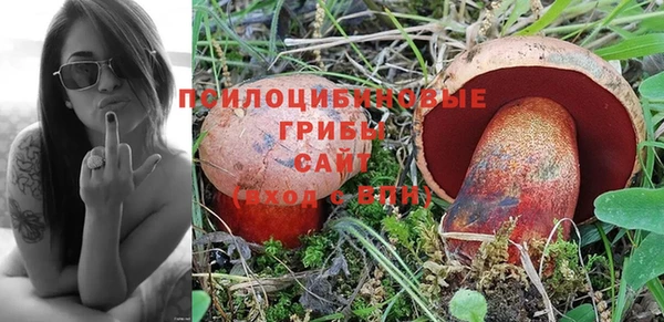 дживик Абинск